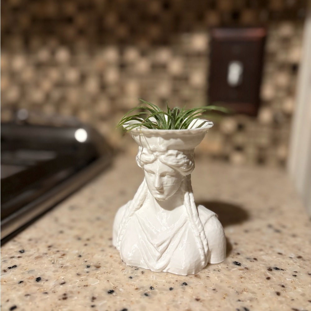 White Bust Planter for Air Plant
